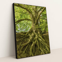 7090256904227 - Product Image