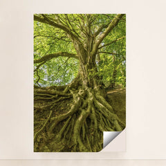 7090256904227 - Product Image