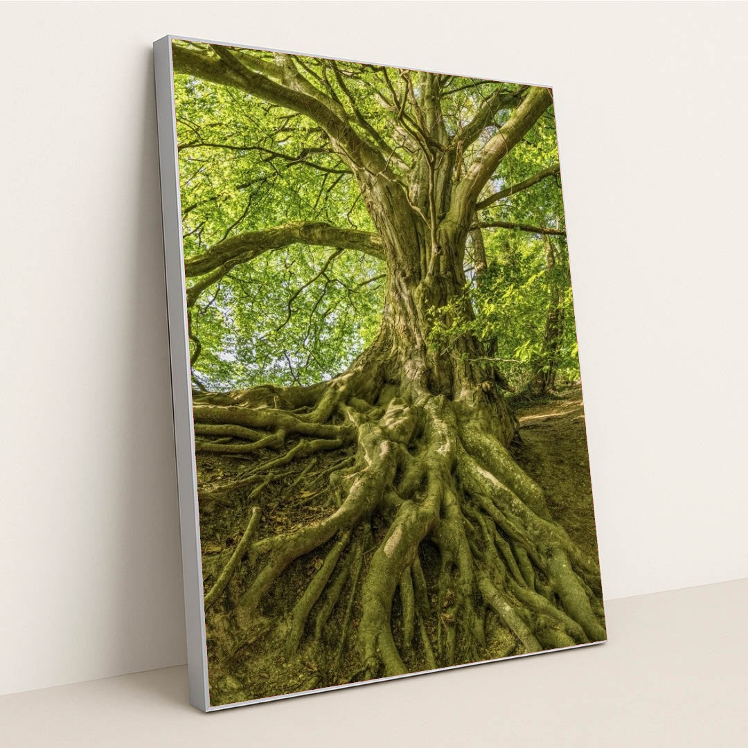 7090256904227 - Product Image