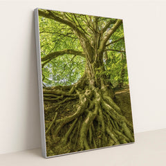 7090256904227 - Product Image