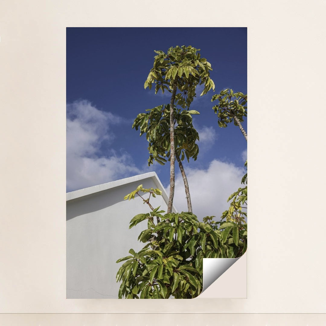 7090458689571 - Product Image