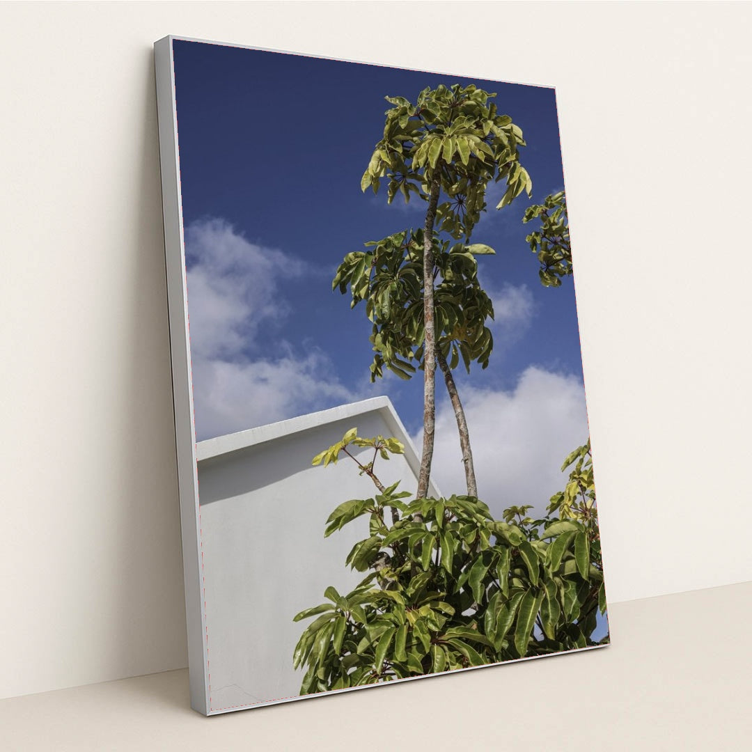 7090458689571 - Product Image