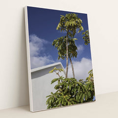 7090458689571 - Product Image