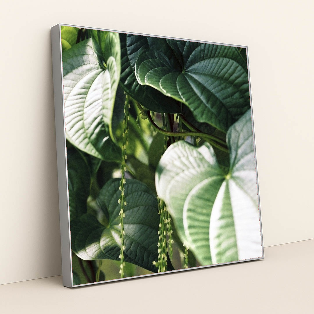 7090290327587 - Product Image