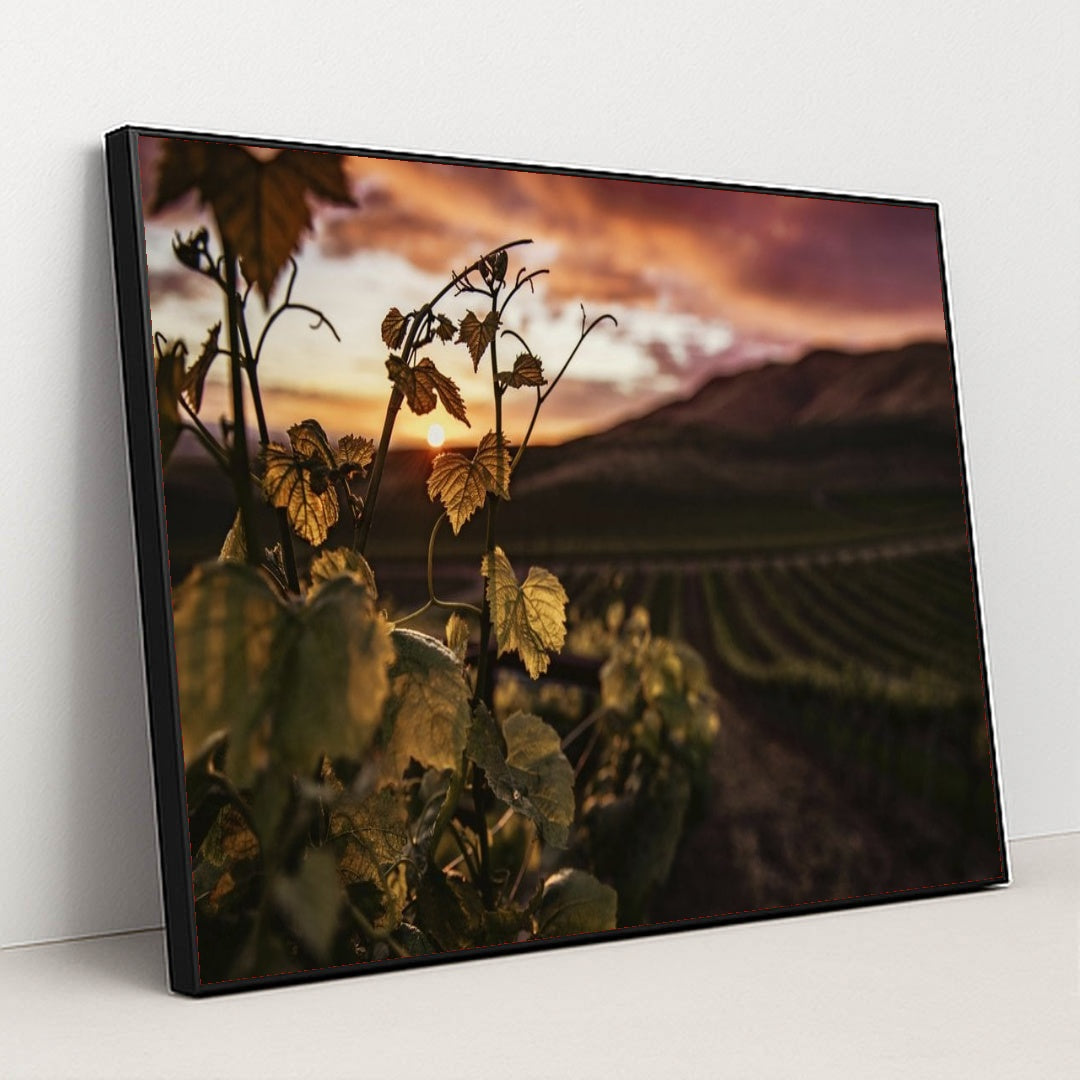 7090290196515 - Product Image