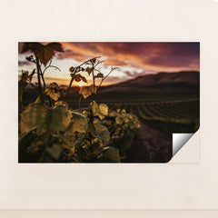 7090290196515 - Product Image