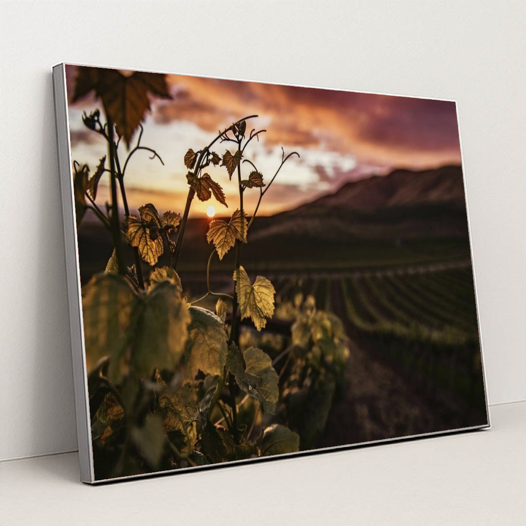 7090290196515 - Product Image