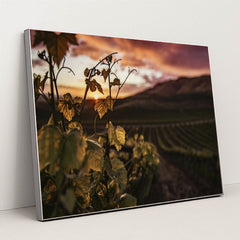 7090290196515 - Product Image