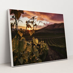 7090290196515 - Product Image