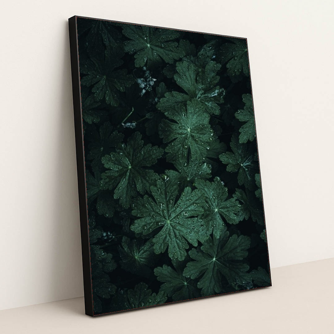 7090223743011 - Product Image