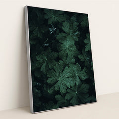 7090223743011 - Product Image