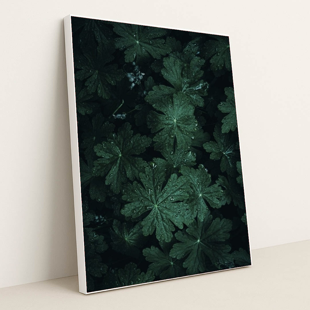 7090223743011 - Product Image