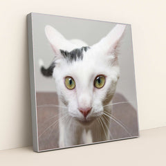 7090329223203 - Product Image