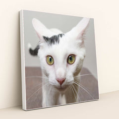 7090329223203 - Product Image