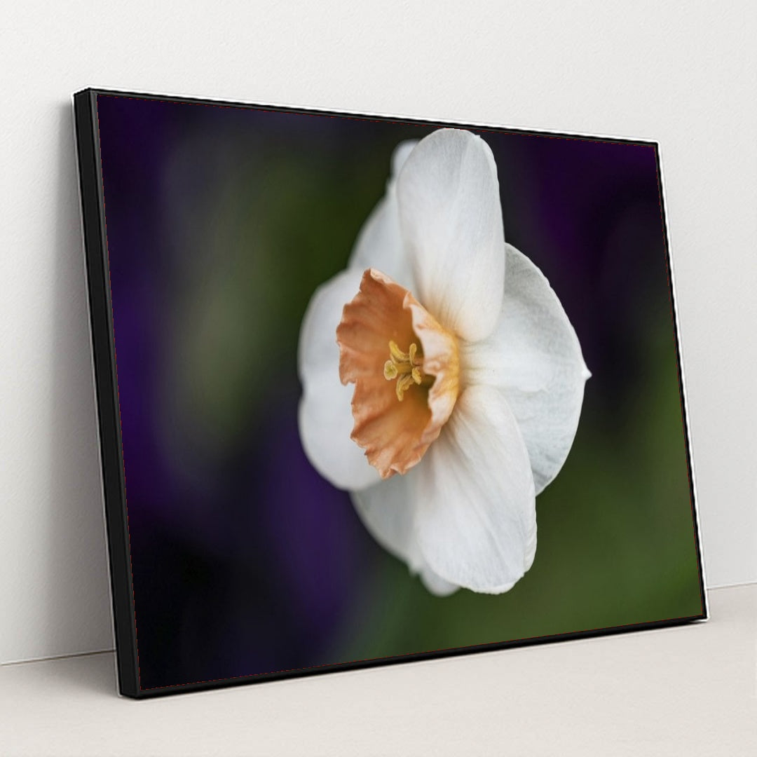 7090296717347 - Product Image