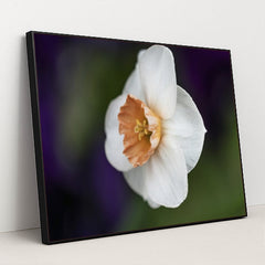 7090296717347 - Product Image