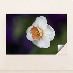 7090296717347 - Product Image