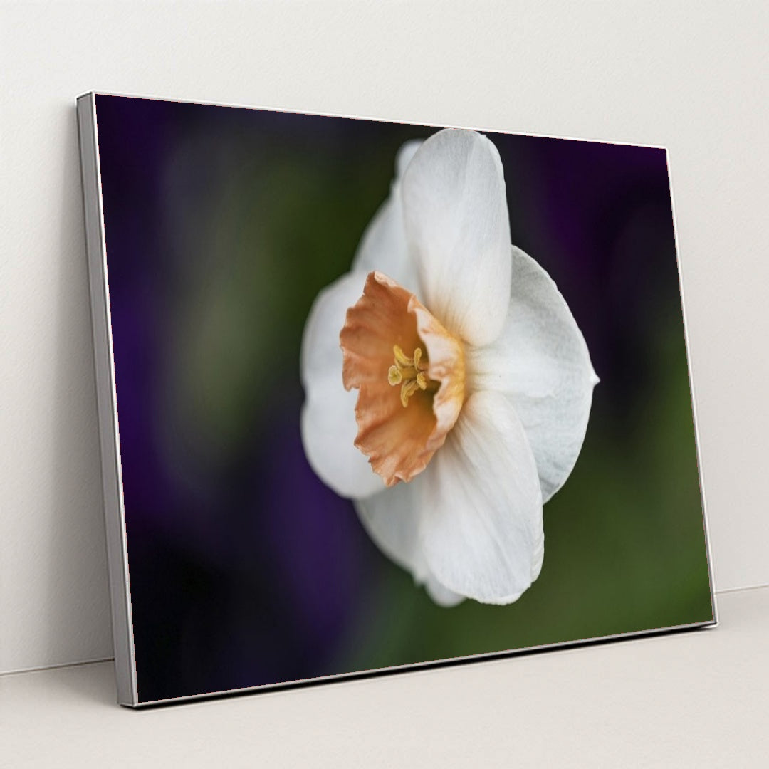 7090296717347 - Product Image