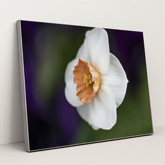 7090296717347 - Product Image