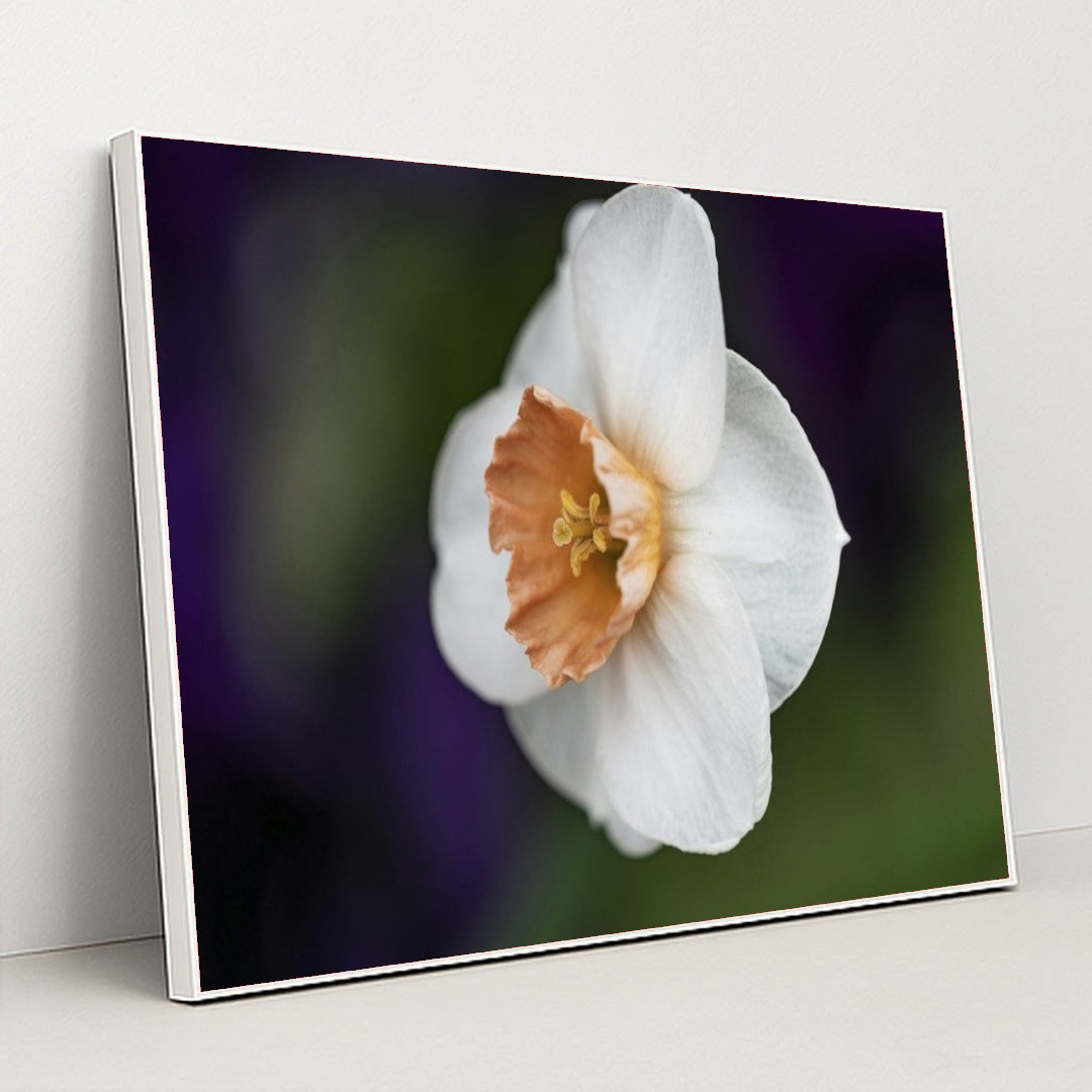 7090296717347 - Product Image