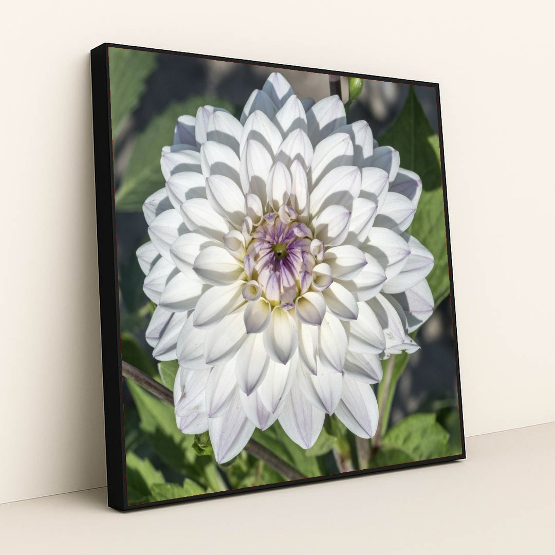 7090290688035 - Product Image