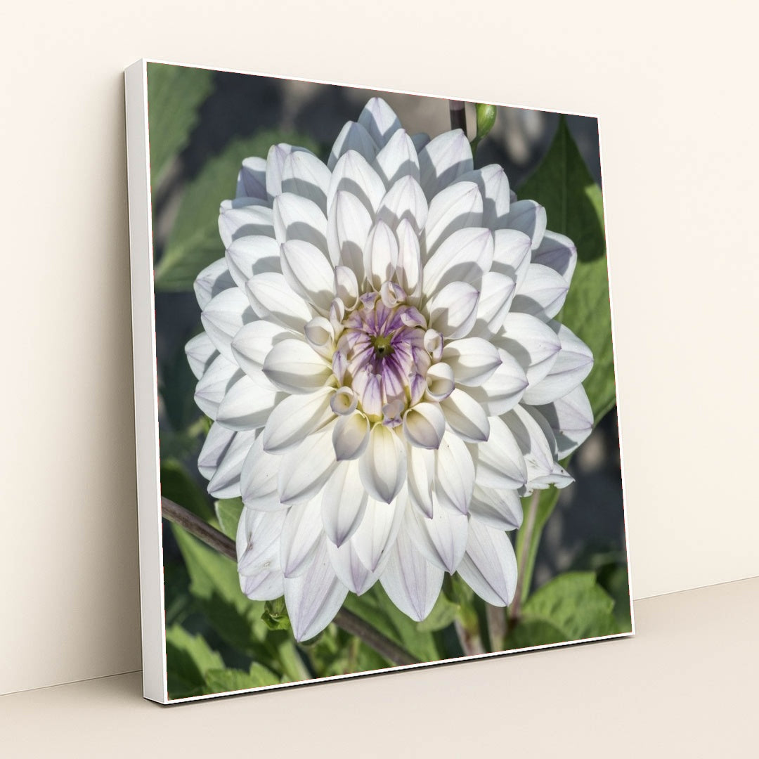 7090290688035 - Product Image