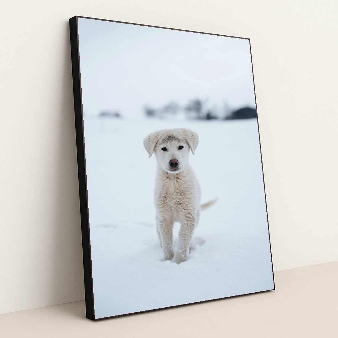 7090337120291 - Product Image