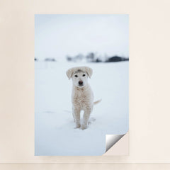 7090337120291 - Product Image