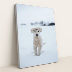 7090337120291 - Product Image