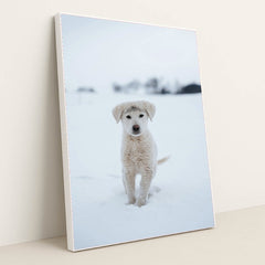 7090337120291 - Product Image