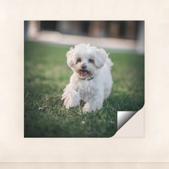 7090329288739 - Product Image