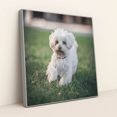 7090329288739 - Product Image