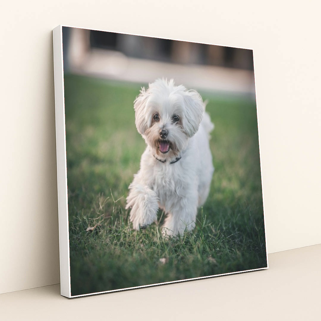 7090329288739 - Product Image