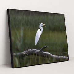 7090331975715 - Product Image