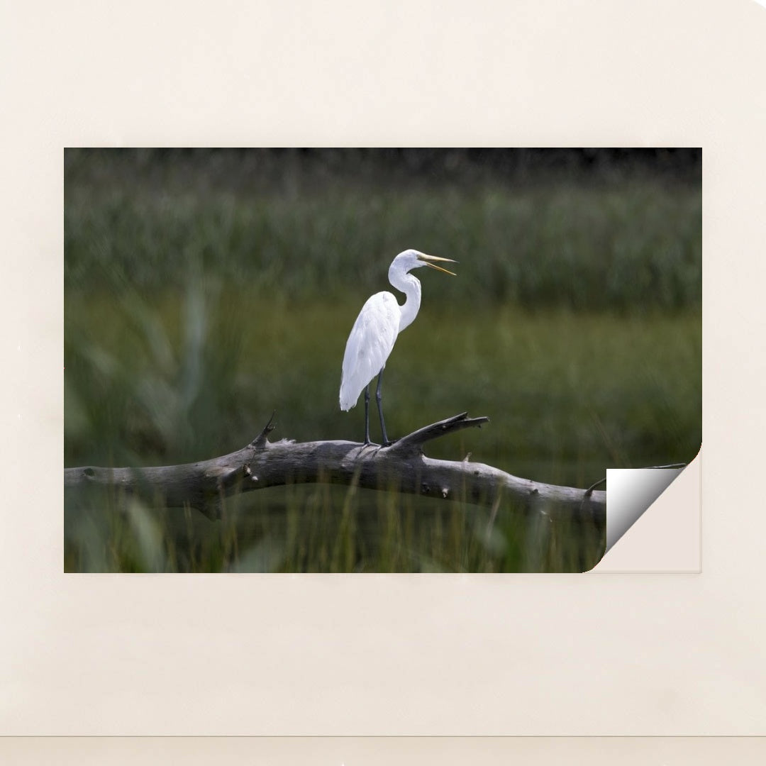 7090331975715 - Product Image