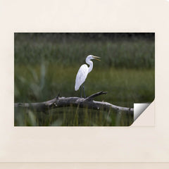 7090331975715 - Product Image