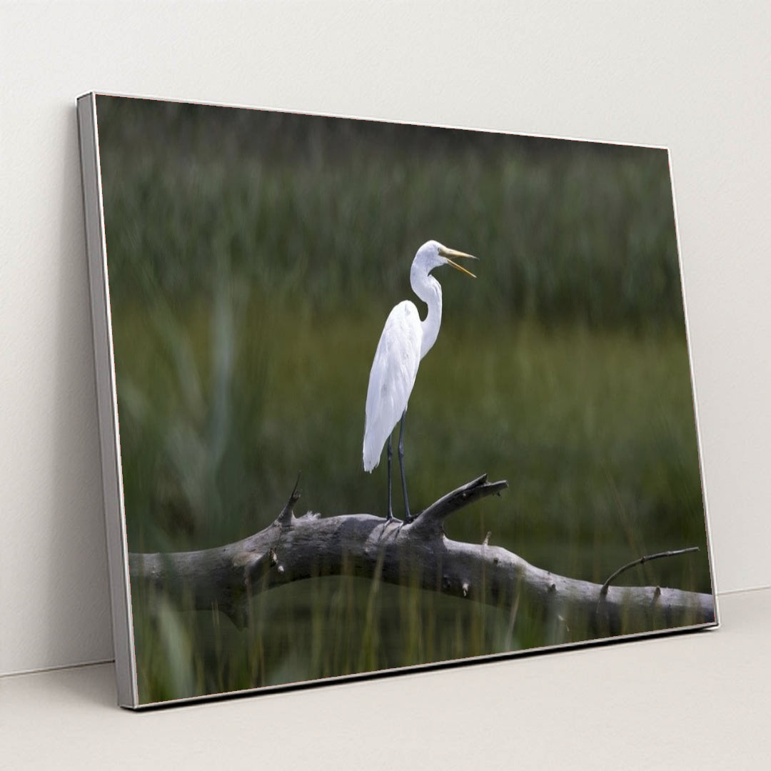 7090331975715 - Product Image