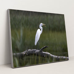 7090331975715 - Product Image