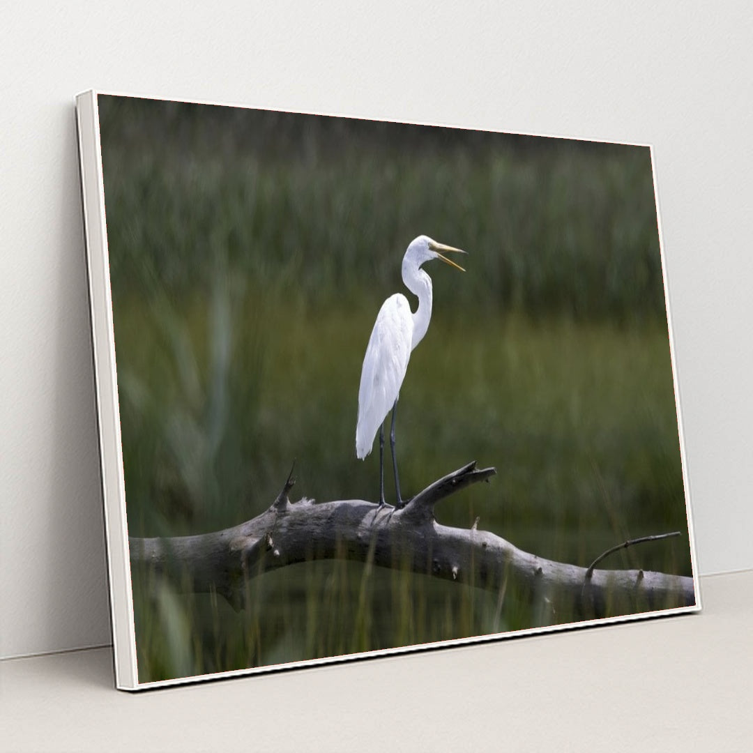 7090331975715 - Product Image