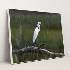 7090331975715 - Product Image