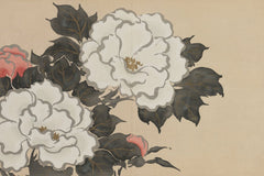 Kamisaka Sekka - Peonies (Fukamigusa) (1909-1910)