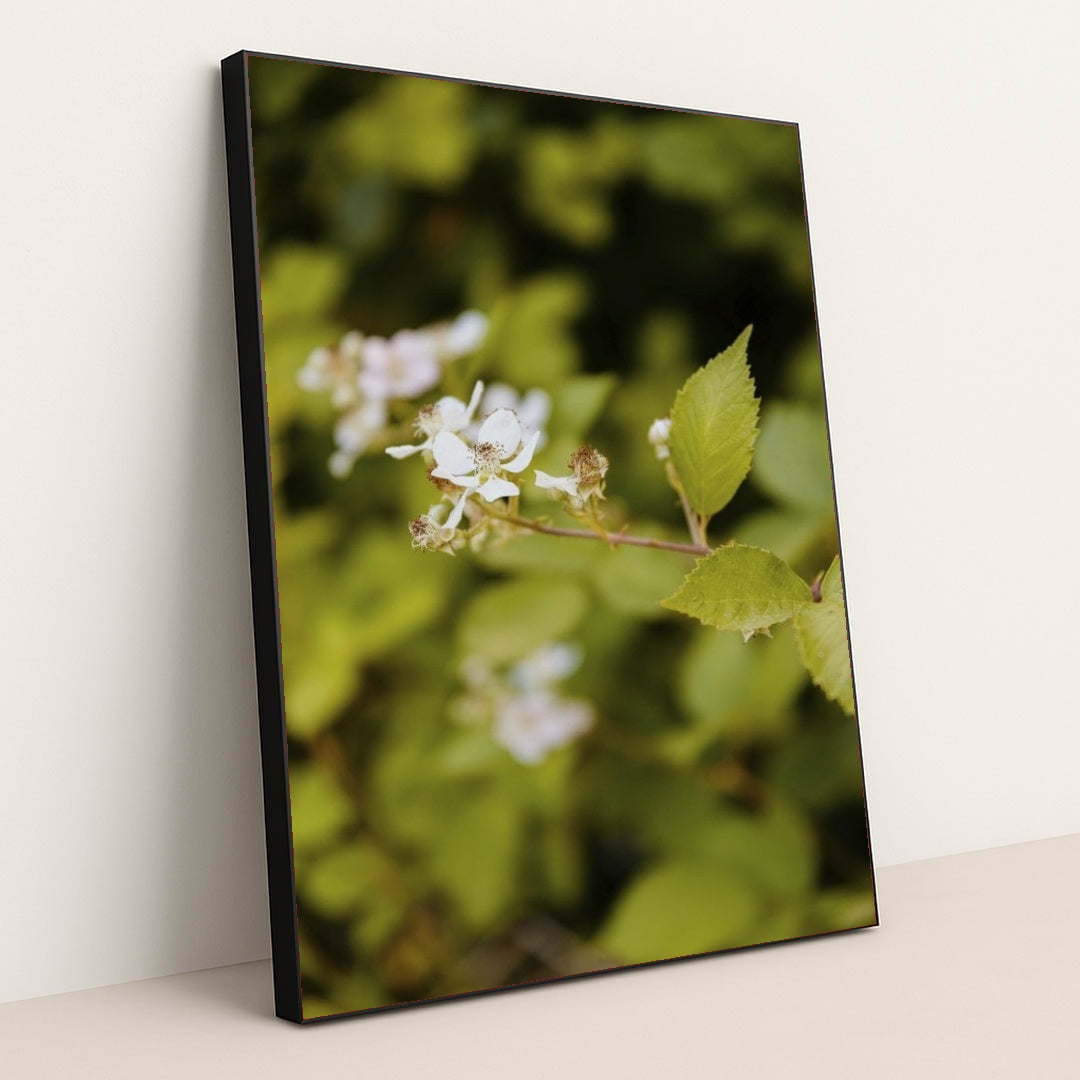 7090290950179 - Product Image