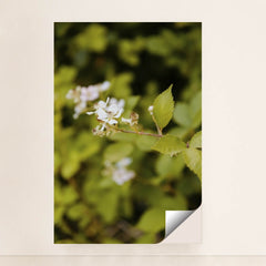 7090290950179 - Product Image