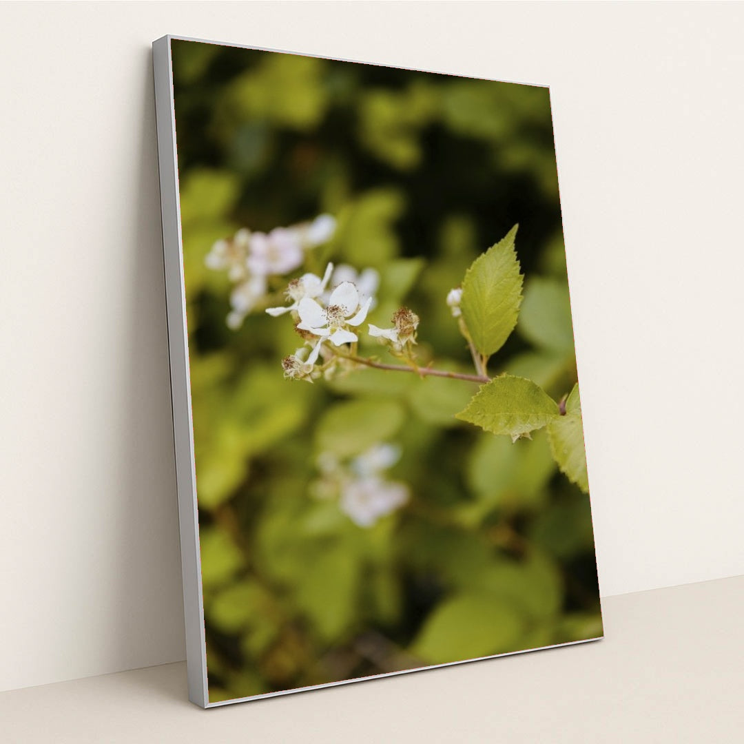 7090290950179 - Product Image