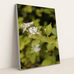 7090290950179 - Product Image