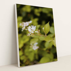 7090290950179 - Product Image