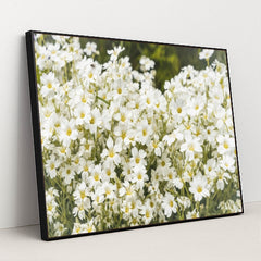 7090344034339 - Product Image