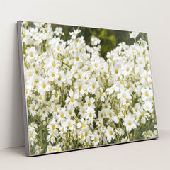 7090344034339 - Product Image