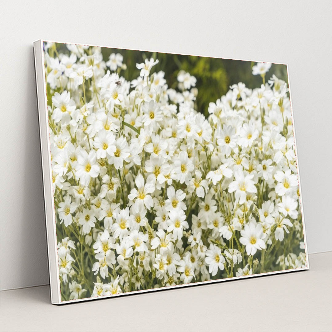 7090344034339 - Product Image