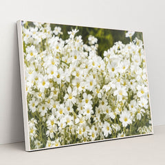 7090344034339 - Product Image